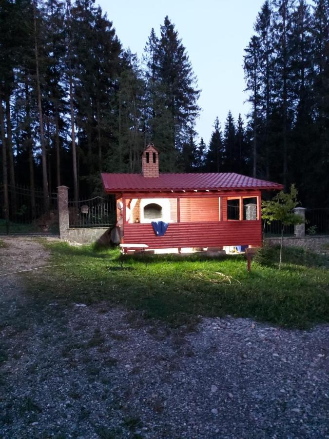 Casa De Vacanta Пырыул-Рече Экстерьер фото