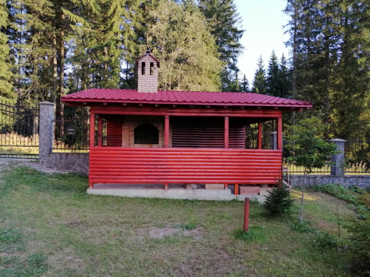 Casa De Vacanta Пырыул-Рече Экстерьер фото